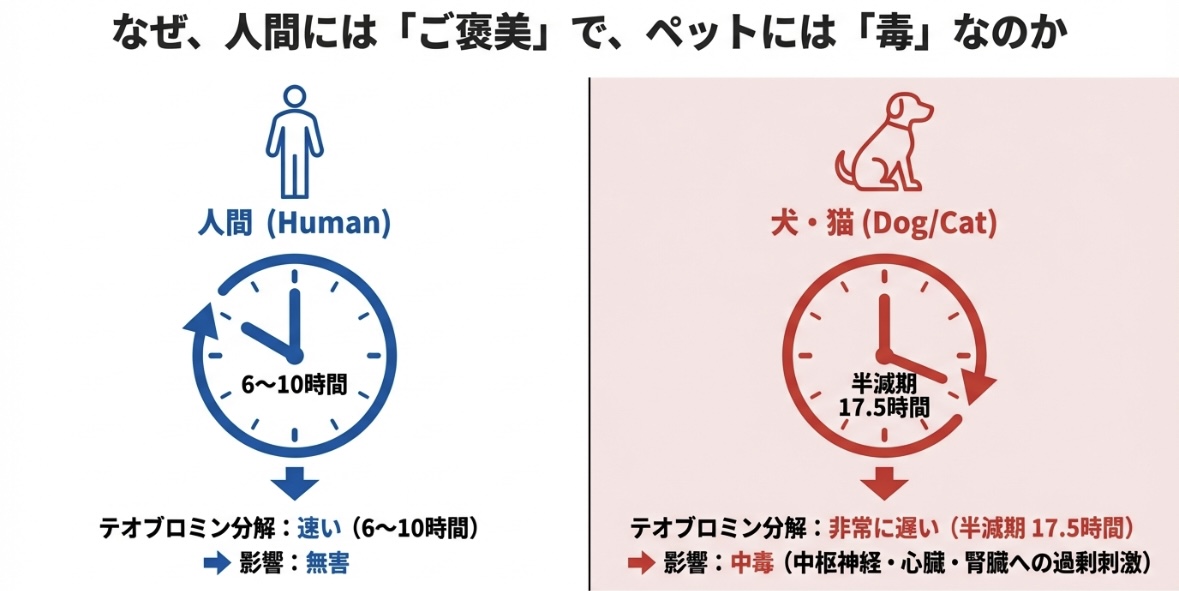 症状のタイムラグに関する画像