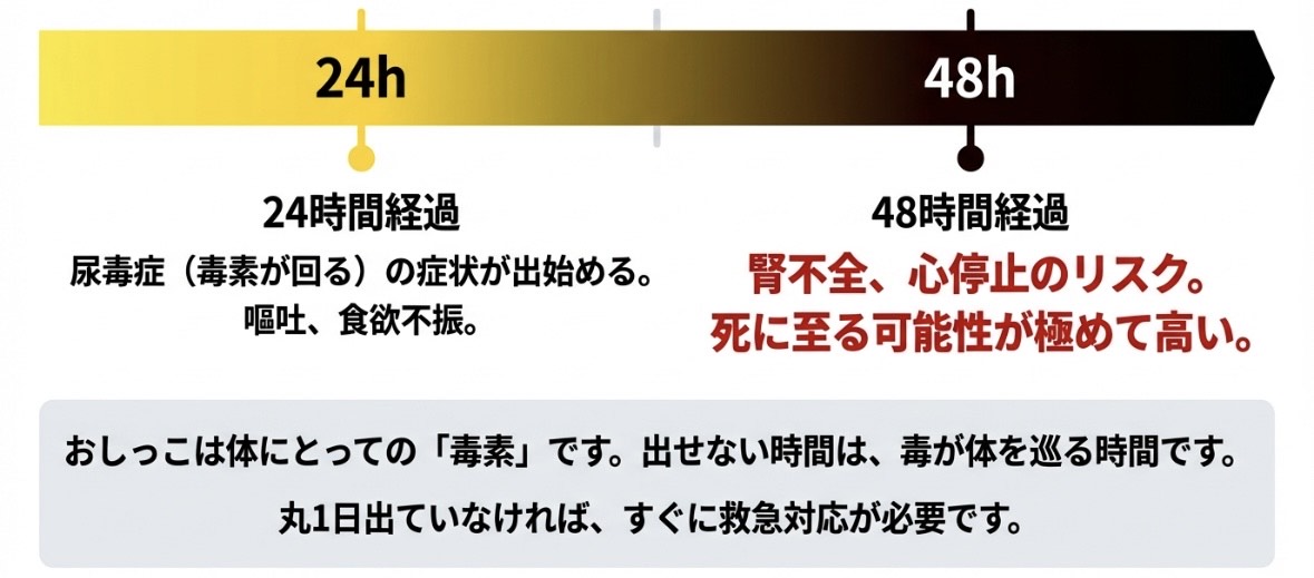 命のタイムリミットは48時間