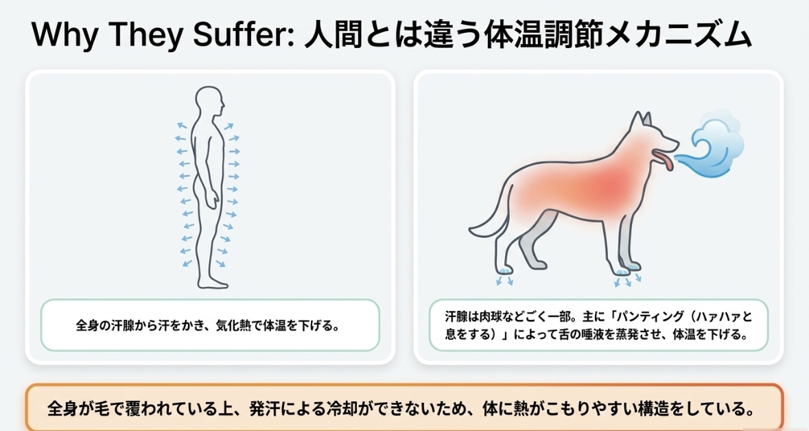 熱中症の初期サイン
